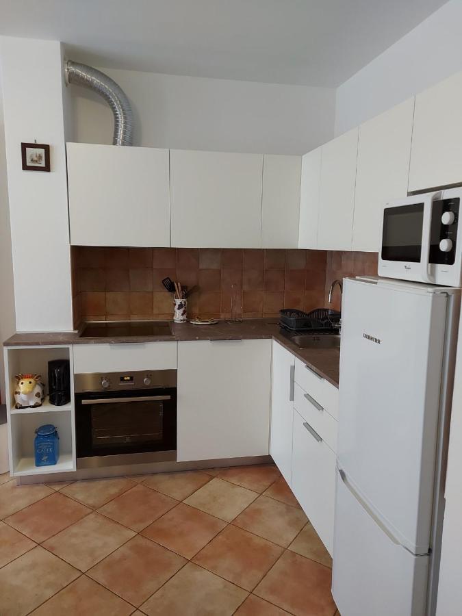 Apartment Morena Novigrad Istria Exterior foto